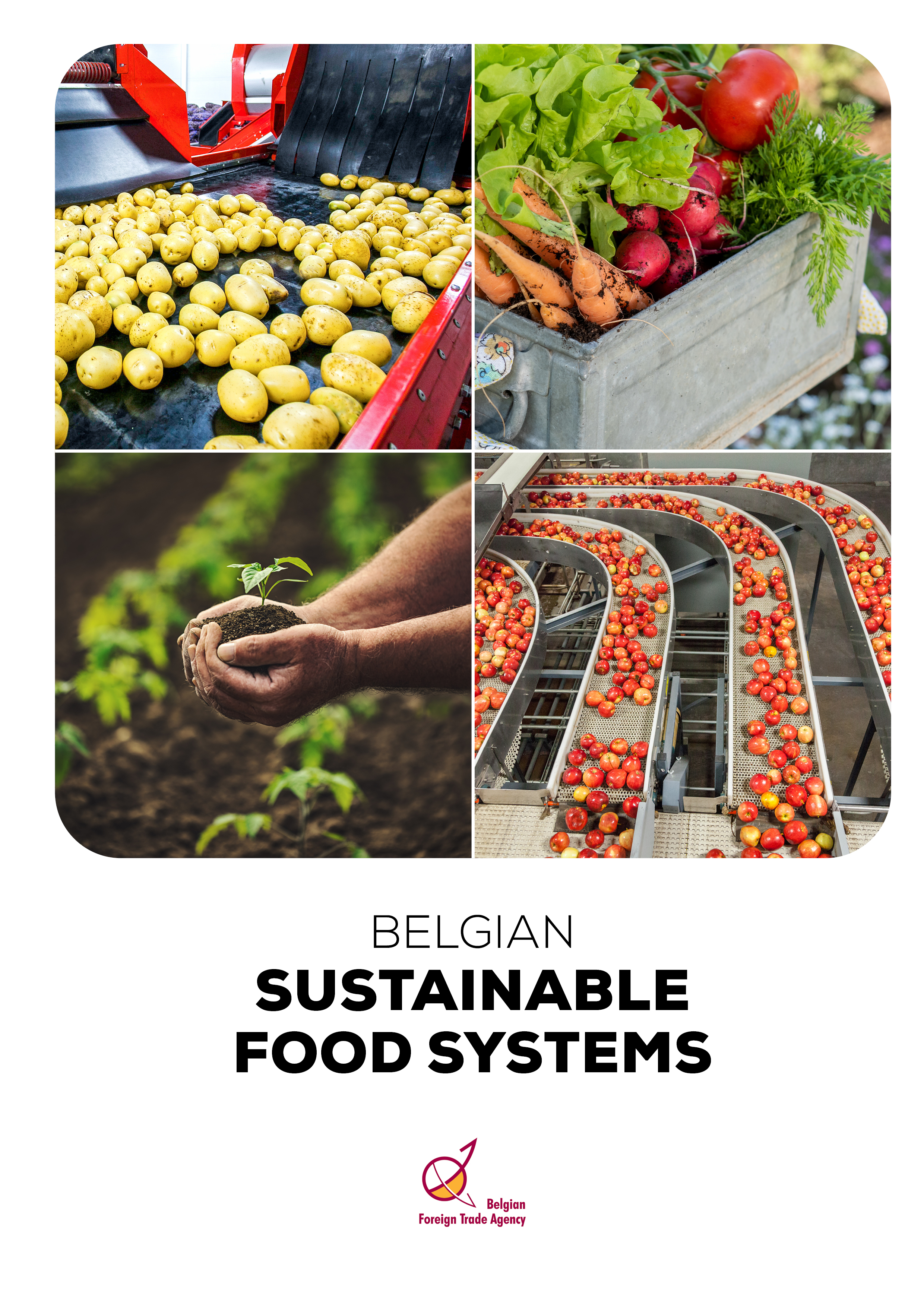 Belgian Sustainable Food Systems - 2021 1